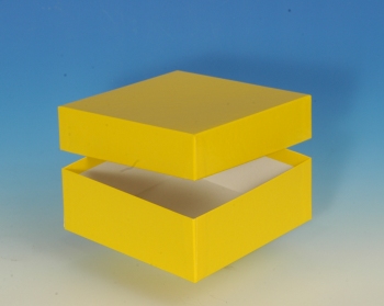 Produktfoto: Kryo-Box 136 x 136 mm / 50 mm hoch - Farbe: gelb