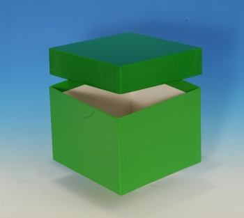 Produktfoto: Kryo-Box 136 x 136 mm / 100 mm hoch - Farbe: grün, beschichtet